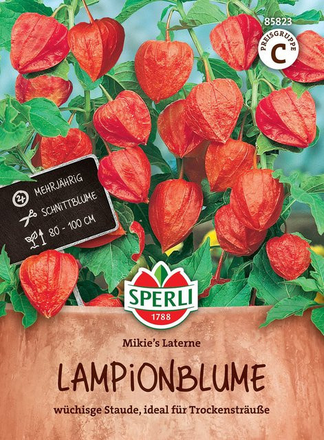 SPERLI Lampionblumen-Samen Mikie's Laterne - Bild 1