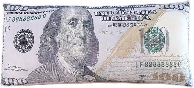 Binchi Fitness U.S. Dollar Plüschkissen als langes Stofftier-Kissen und Kopfstütze in Multicolour - Bild 1
