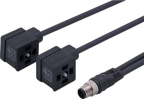 ifm Electronic Y-Verbindungskabel E70203 in Schwarz - Bild 1