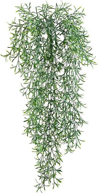 Künstliche Hängepflanze Asparagus von Aplanta in Grün, Höhe: 70 cm - Bild 1