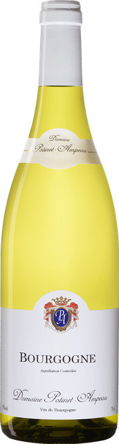 Domaine Potinet-Ampeau Bourgogne Blanc 2020 Chardonnay Weißwein, 0,75 l - Bild 1