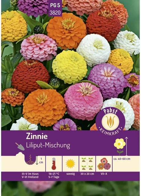 Pabst Keimkraft Zinnie Liliput-Mischung Saatgut für Beete und Rabatten - Bild 1