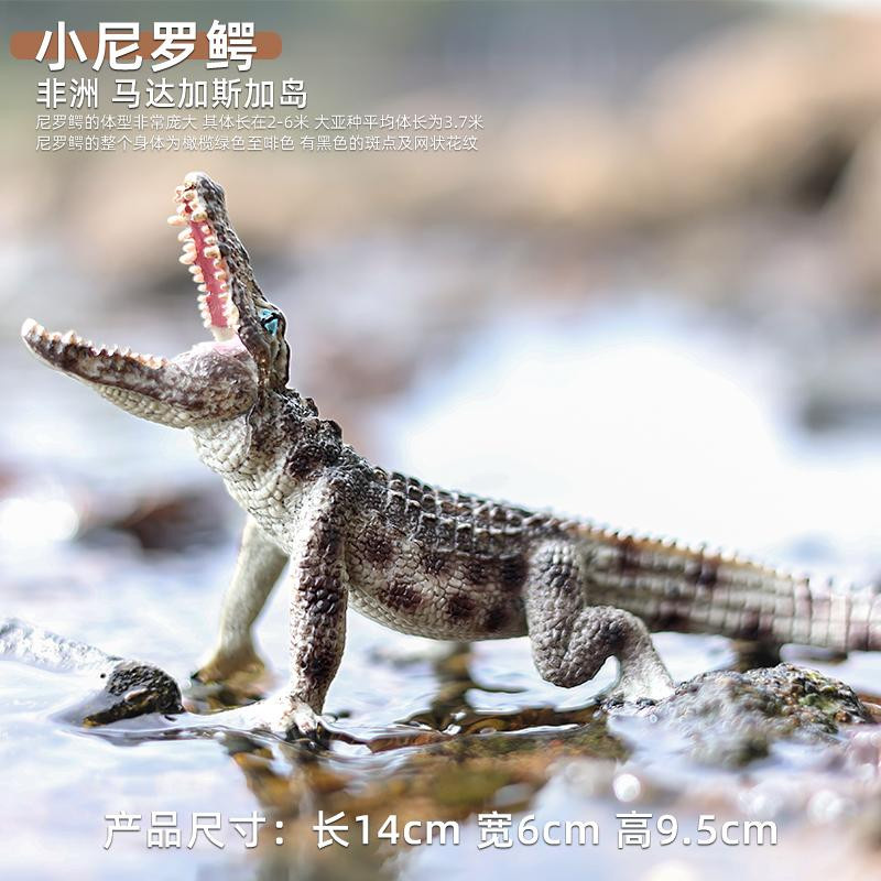 Yiran toy 1 Alligator Krokodil Figur Plastikfigur ab 18 Monaten - Bild 3