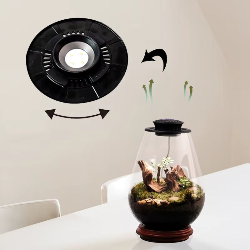 F2 Miniatur-Gartenpflanzen-Terrarium aus Glas mit Wachstumslicht in Grün, Weiß und Mehrfarbig mit Moos-Landschaft und minimalistischem Design - Bild 1