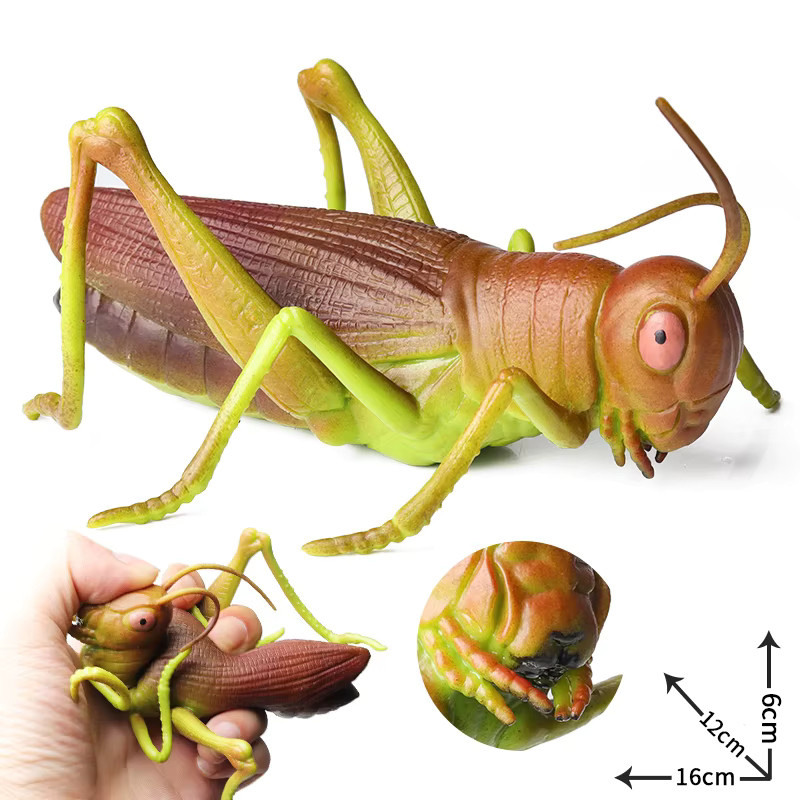 Oenux Insekt Tier Wild Reptil Modell, Actionfiguren - Bild 2