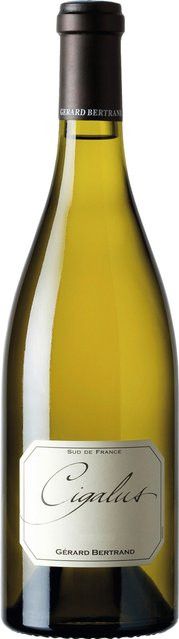 Cigalus Blanc Chardonnay Weißwein, 2024, Languedoc-Roussillon, trocken, 0,75 l - Bild 1