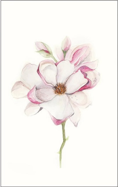 Komar Wandbild Magnolia Blossom B: 50 cm, H: 70 cm - Bild 1