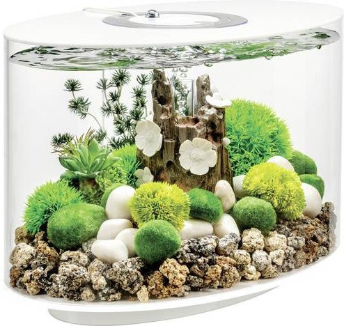OASE biOrb LOOP 15 Aquarium in Weiß mit LED-Beleuchtung und 15 l Volumen - Bild 1