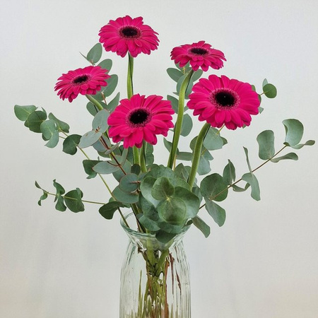 Blumenstrauß Gerbera Pink mit Eucalyptus