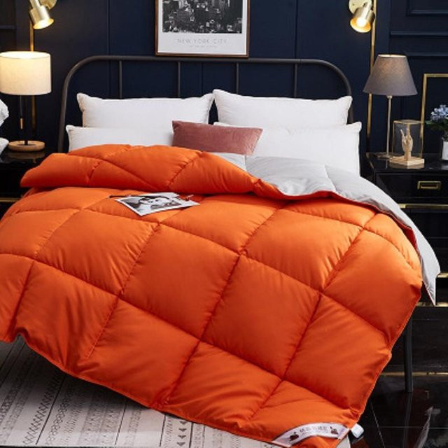 Bin Chi Textiles Gänsedaunen Bettdecke für den Winter, Farbe: Orange, B x H: 200 x 230 cm - Bild 1