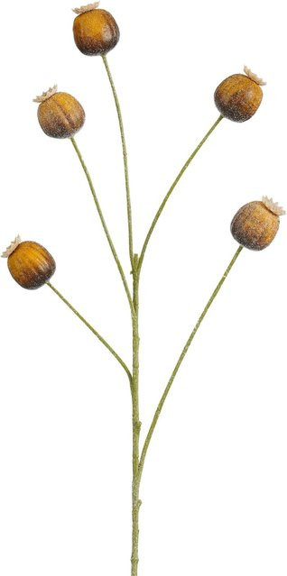 Mica Decorations Papaver-Zweig Braun 73 cm - Bild 1