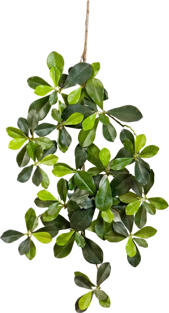 Künstlicher Olivenbaum-Zweig von Gesa, Höhe: 55 cm - Bild 1