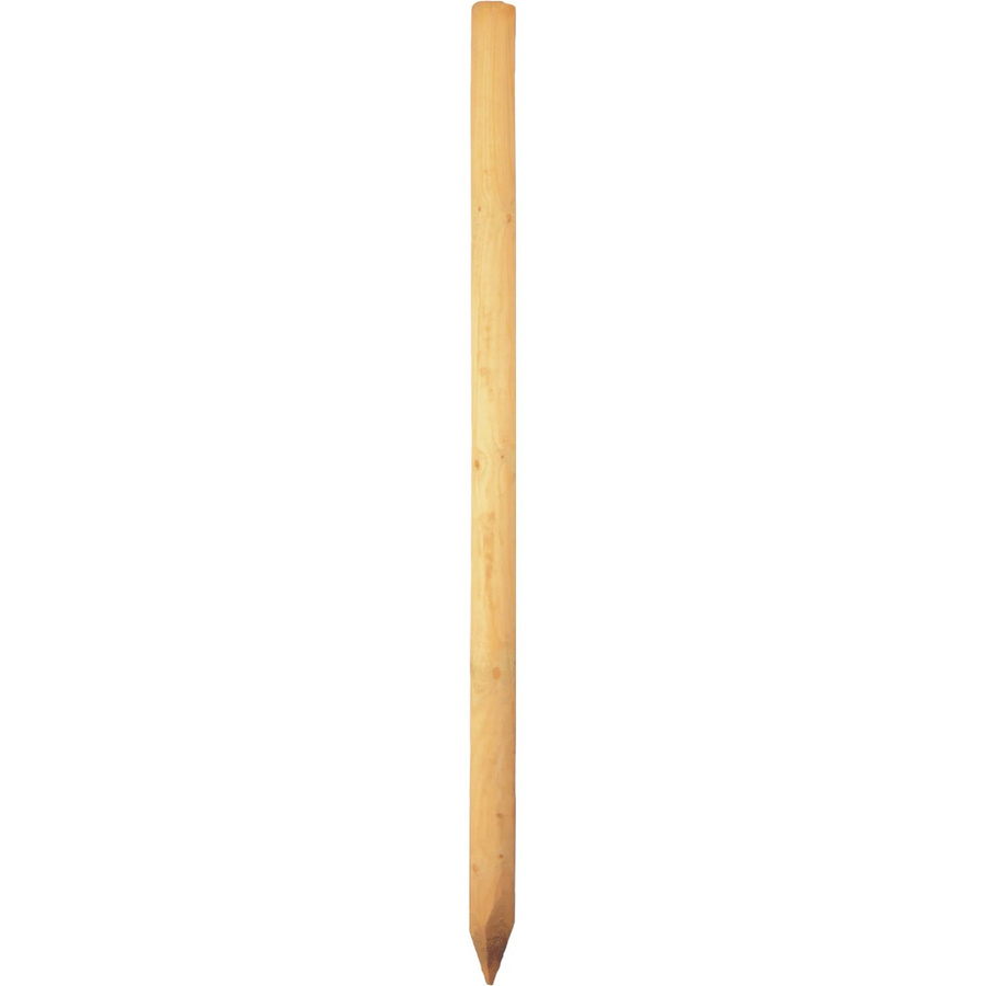 T & J Baumpfahl aus Kiefern- und Fichtenholz, Farbe: Kdi Grün, Durchmesser: 8 cm, Höhe: 100 cm - Bild 2