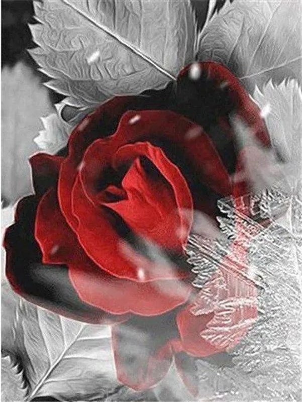 FIYO 5D Diamantgemälde Rote Rose Blumen Schwarz-Weiß-Serie in Elfenbein, B/H: 50 x 70 cm - Bild 4