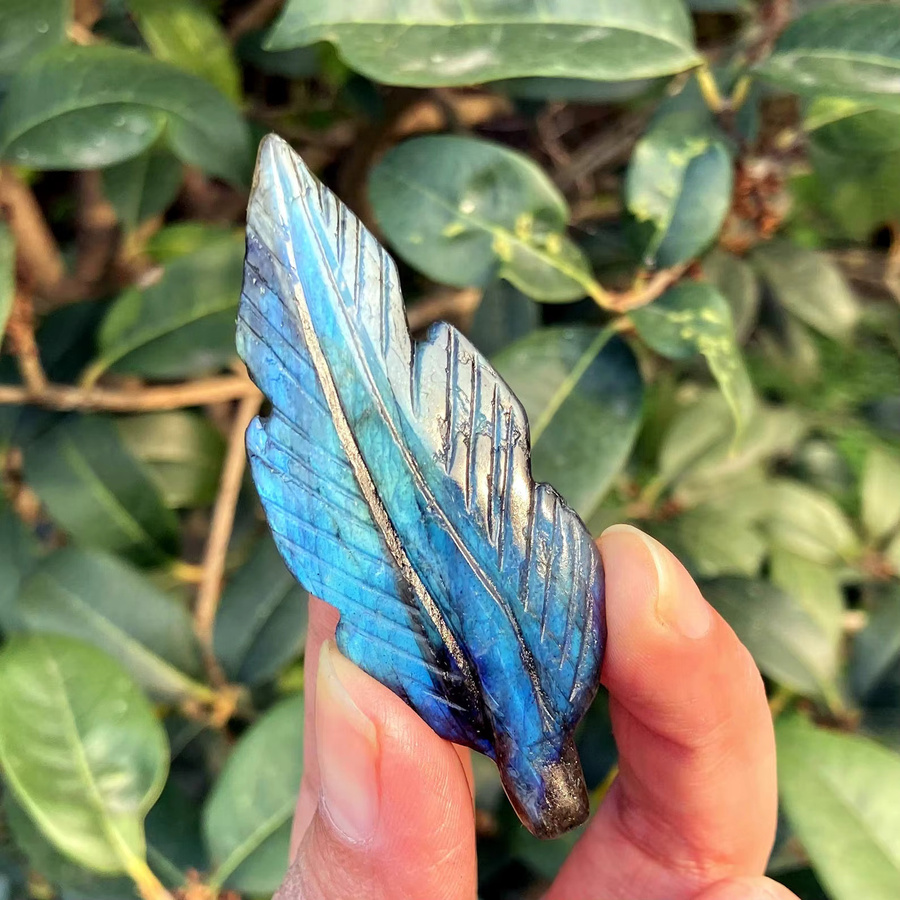Natürliche Labradorit-Feder in Multicolour und Blau, 5 cm Kristallfeder zur Dekoration und Reiki-Heilung - Bild 2
