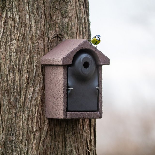 CJ Wildlife Nistkasten Bilbao aus Holzbeton in Schwarz und Braun - Bild 1