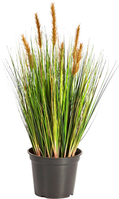 Aplanta Künstlicher Fuchsschwanz Lagurus Sam, Höhe: 60 cm - Bild 1