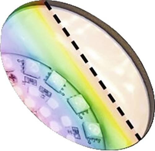 Paulmann Plug & Shine Kikolo LED-Gartenspot Zigbee 3.0 RGBW+ Anthrazit - Bild 2
