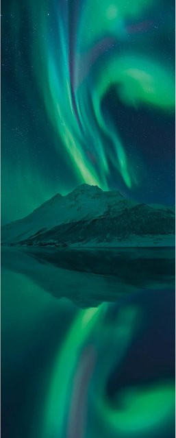 Komar Fototapete Vlies The Heavenly Magician Multicolor B: 100 cm, H: 250 cm - Bild 1