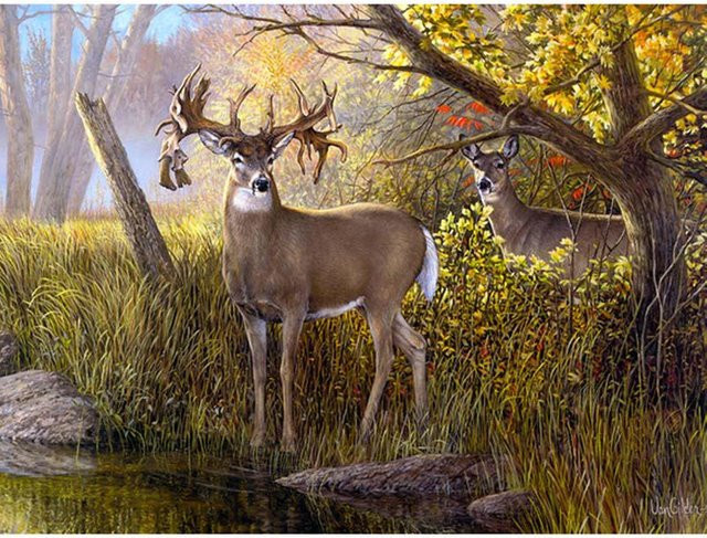 FIYO Diamant Stickerei 5D DIY Diamant Malerei Hirsch im Wald, Motiv Natur und Tiere, Farbe: Beige/Mehrfarbig, Breite: 20 cm, Höhe: 30 cm - Bild 1