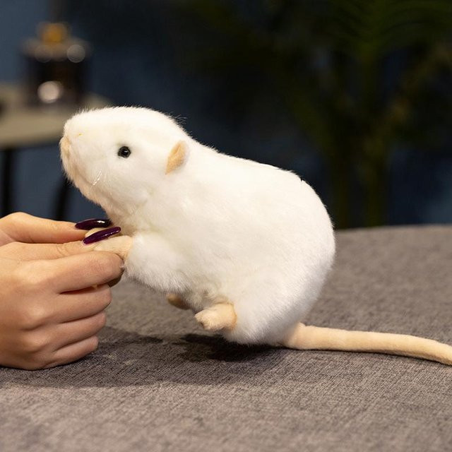 Weiße Ratte Plüschtier, Weiß, ab 14 Jahre - Bild 1