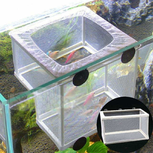 KITPIPI Fischzucht-Inkubator-Netz zur Isolation von Fischen in Weiß - Bild 1