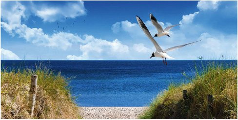 mySPOTTI Rückwand North Sea in Blau, B/H: 90 x 45 cm - Bild 1