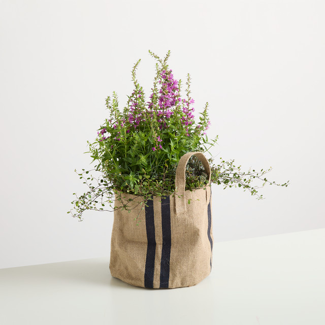 Pflanzsack aus Jute von BLUME2000 in Dunkelgrau, Höhe: 26 cm, Breite: 25 cm, Tiefe: 25 cm - Bild 1