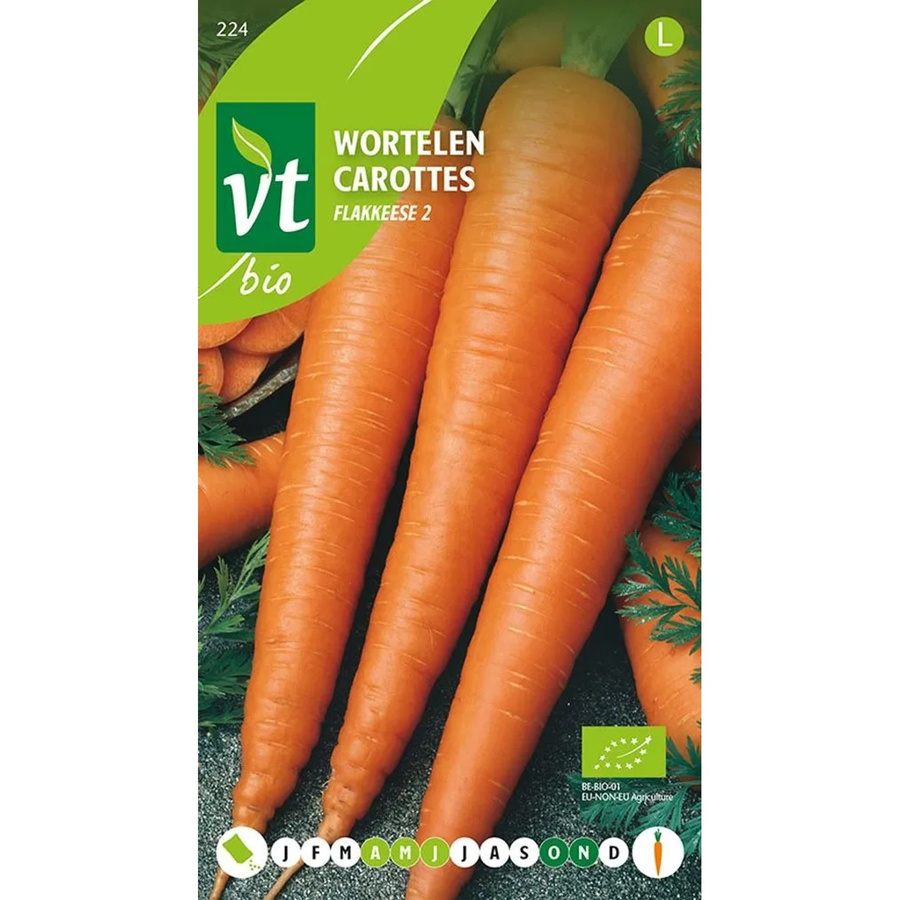 Arborix Bio Karotte Flakkee 2 Saatgut 3 g - Bild 2