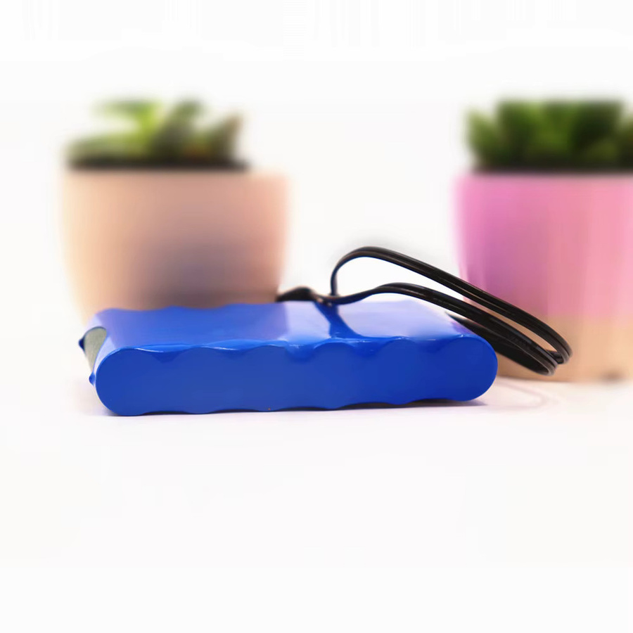Cheterdoli Tragbarer Lithium-Ionen-Akkupack 12V 30000mAh mit Ladegerät, Blau - Bild 3