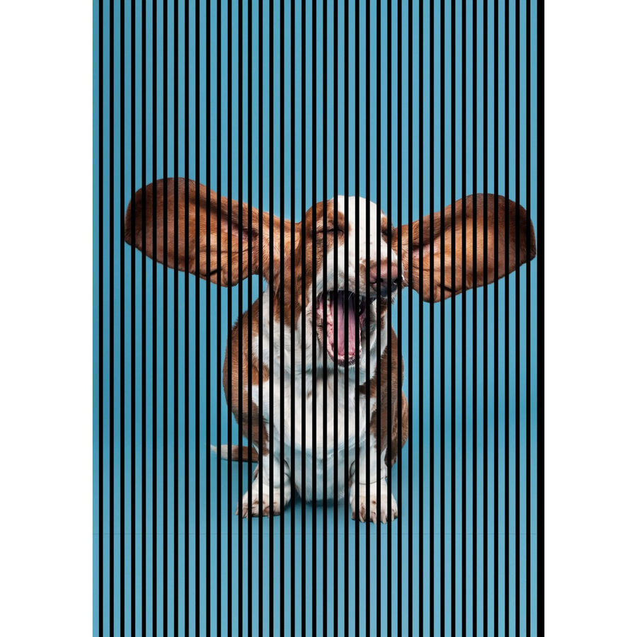 FN Acustico Akustikplatte Dog 1 in Bunt aus PET und MDF mit Klebefolie, H x B x T: 2.400 x 1.693 x 19 mm - Bild 2