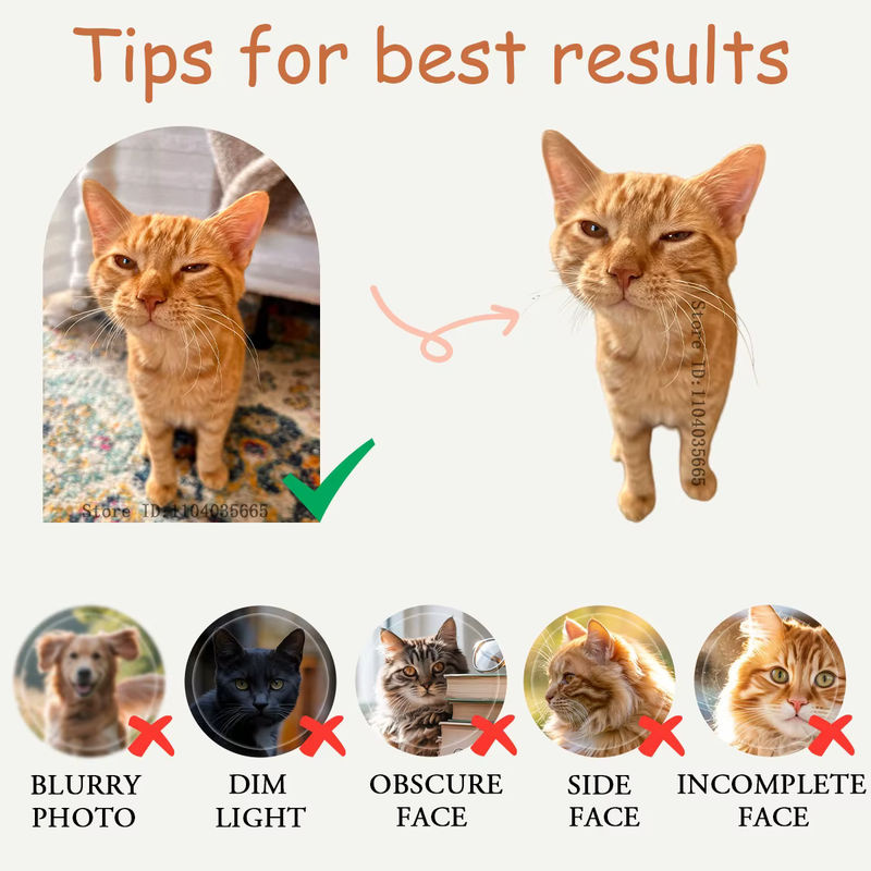 IHX Ugly Cat Dog Zany Kissen – Personalisiertes 3D-Haustierkissen nach Foto in Weiß - Bild 4