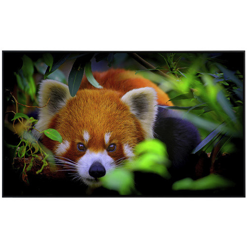 papermoon Infrarotheizung EcoHeat Rotes Panda mit Matt-Effekt in Bunt, App-Steuerung und Überhitzungsschutz - Bild 2
