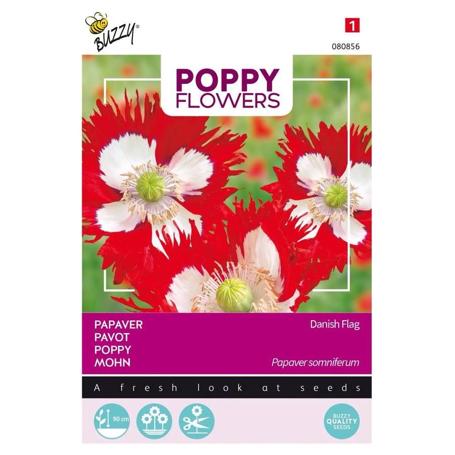 Arborix Buzzy Poppy Mohnblumen Samen für den Garten, 0,75 g - Bild 2
