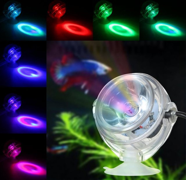 Igeteck LED-Aquarium-Scheinwerfer wasserdicht, tauchbares blaues Licht mit konvexem Linsendesign und Saugnapf - Bild 1