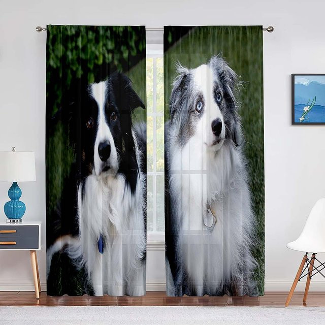 Transparenter Voile-Vorhang mit floralem Hunde-Border-Collie-Welpen-Motiv in Lila, Chiffon-Fenstervorhang für Wohnzimmer und Schlafzimmer, B/H: 100 x 250 cm - Bild 1