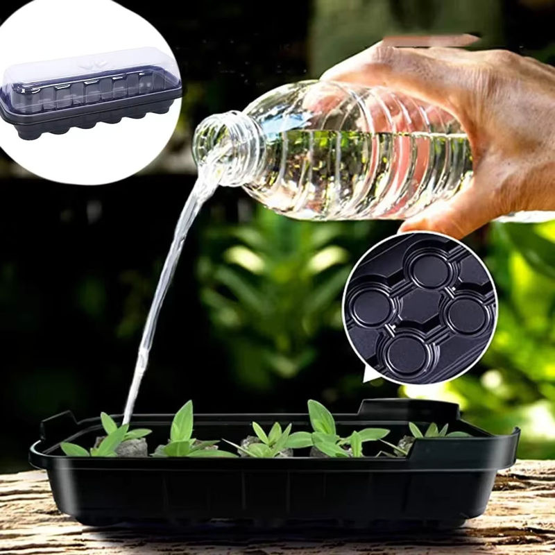 Transparente Samenschale aus Kunststoff mit 12 Zellen für die Anzucht von Pflanzen und Sämlingen im Garten, B: 25,9 cm, T: 10,92 cm, H: 12,0 cm - Bild 4