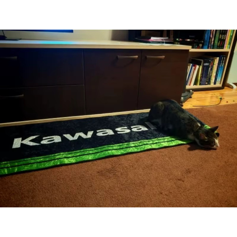 Kawasaki Motorrad Teppich für die Garage, rutschfeste Bodenmatte in Schwarz, rechteckig aus Polyester - Bild 3