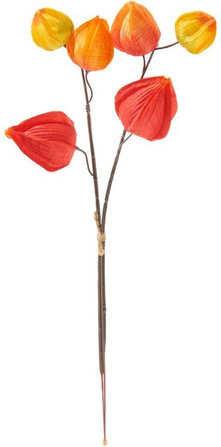Künstlicher Physalis Zweig mit 6 orangefarbenen Lampionblüten für die Herbstdekoration - Bild 1