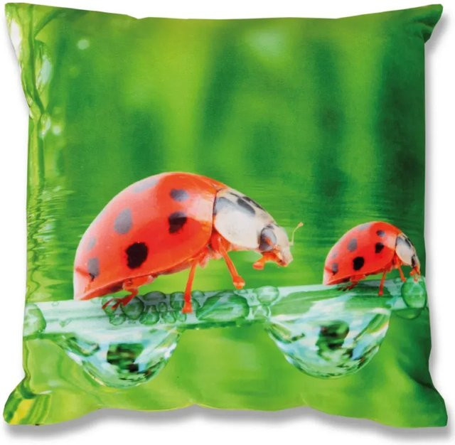 Bestlivings Kissenhülle mit Käfer-Fotodruck, B/T: 40 x 40 cm, Mehrfarbig - Bild 1