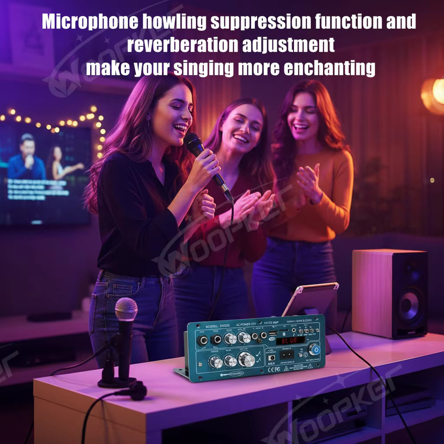 Woopker D600E Bluetooth 5.0 Verstärkerplatine mit 2.1 Kanal und TWS-Funktion für Subwoofer und Stereo-Sound (100W+100W+200W) - Bild 4