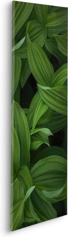 Komar Canvasbild Ancilla Naturmotiv in Schwarz und Grün, Wandbild mit floralem Landschaftsmotiv auf Holzrahmen, Breite: 90 cm, Höhe: 90 cm - Bild 1