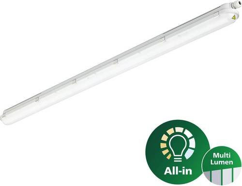 Philips WT120C G3 LED-Feuchtraumleuchte in Grau mit 37,5W und neutralweißem Licht - Bild 1