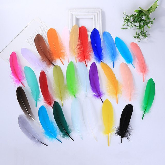 Beeinch Natürliche Gänsefedern für DIY Bastelarbeiten und Schmuckherstellung, 100 Stück pro Packung, Farben: Weiß, Braun und Multicolor - Bild 1