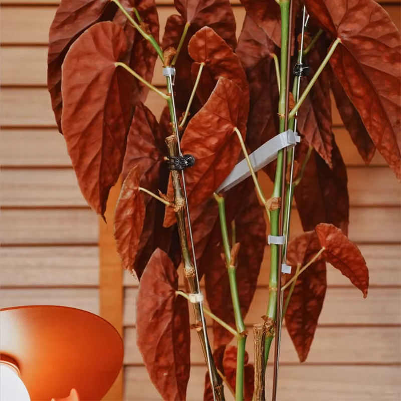 Selbstklebende Nylon-Kabelbinder für Pflanzen in Grün, wiederverwendbare und verstellbare Stützpfähle mit Hakenschlaufe für den Garten - Bild 3