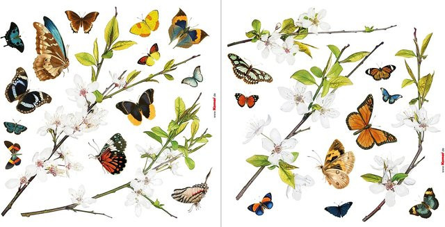 Komar Fenstersticker Cheerful Adhäsionsfolie Multicolor B/H: 31 x 31 cm - Bild 1