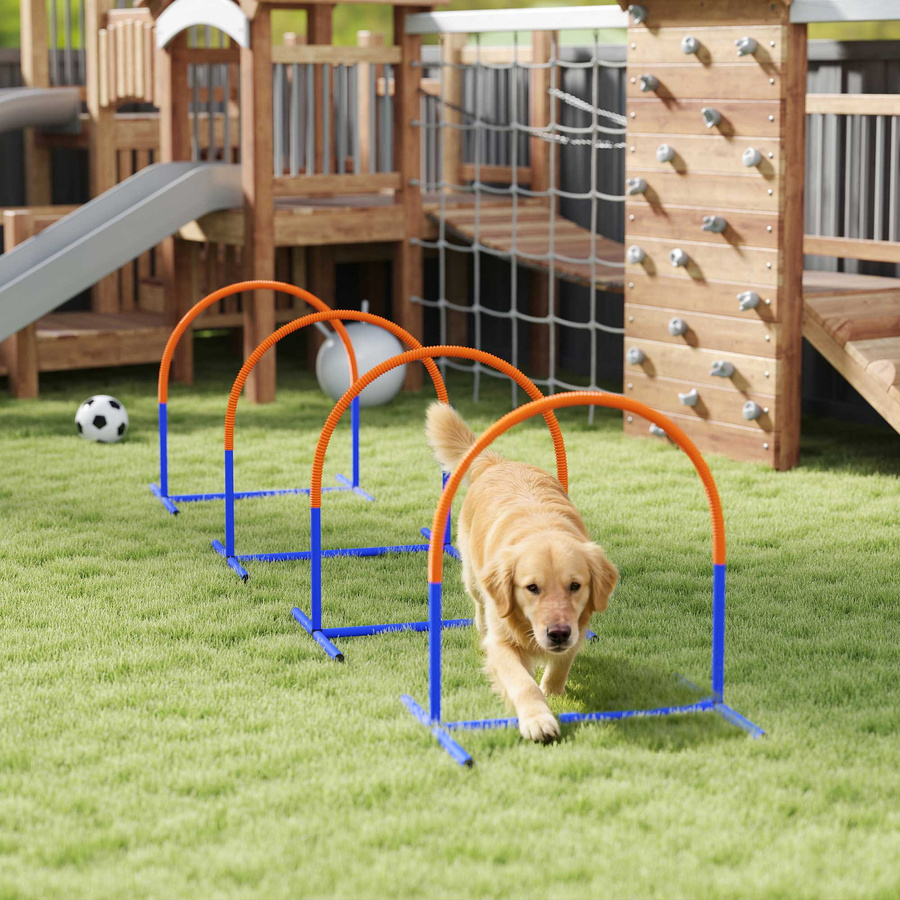 PawHut Hunde Agility Trainingsset, 4-teiliges Set, Blau Orange - Bild 2