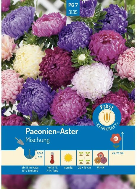 Pabst Keimkraft Saatgut Paeonien und Aster Mischung für Beete und Rabatten - Bild 1