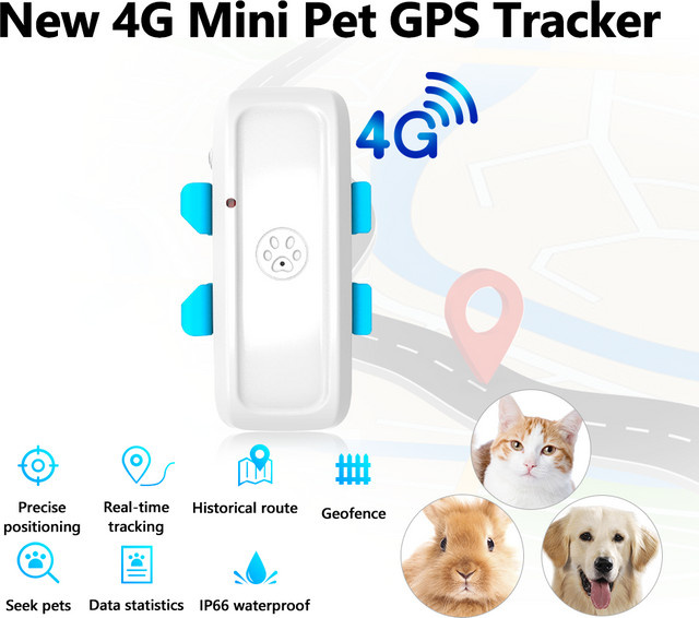 GG Winwa 4G Haustier-GPS-Tracker mit Echtzeit-Tracking und Geo-Fence in Weiß - Bild 1