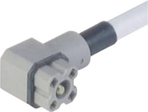 Hirschmann Steckverbinder G-Serie für Steuerspannung Grau G 4KW 1 F 2M 4-polig 100 Stück - Bild 1